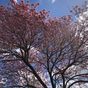 Meet your Posher, Lyudmils